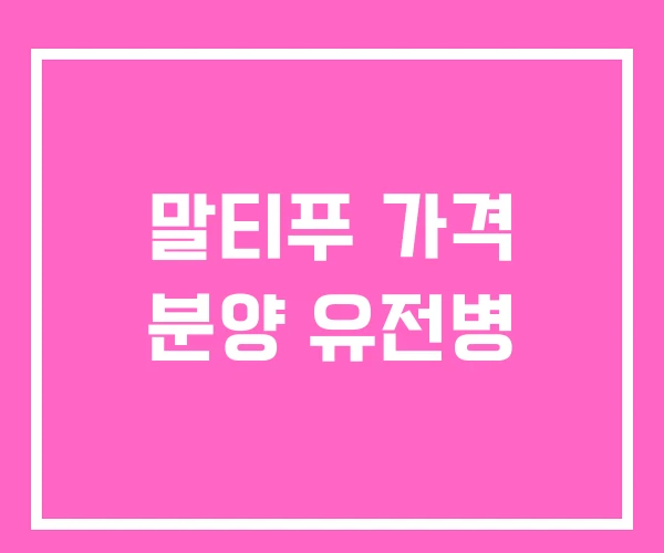 말티푸 가격 분양 유전병 말티푸 가격 분양 유전병