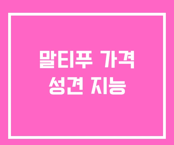 말티푸 가격 성견 지능