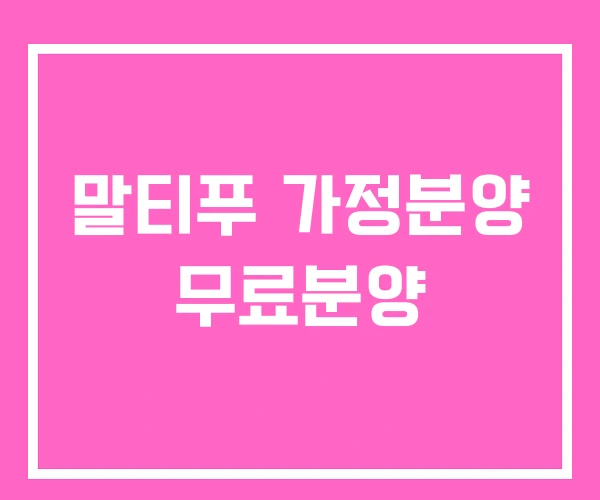 말티푸 가정분양 무료분양