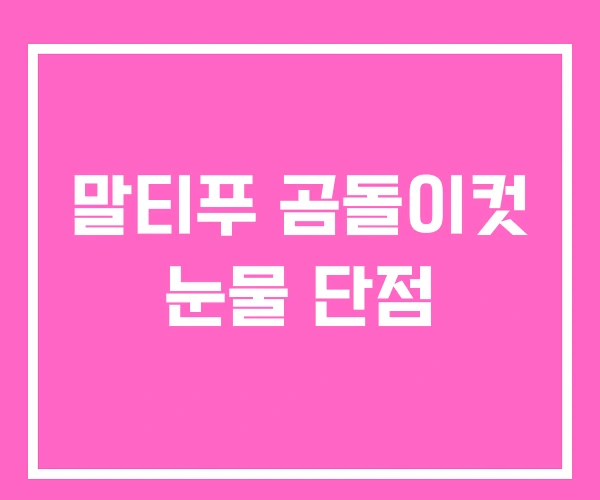 말티푸 곰돌이컷 눈물 단점 말티푸 곰돌이컷 눈물 단점