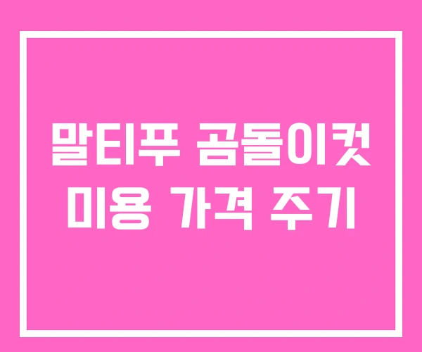 말티푸 곰돌이컷 미용 가격 주기 말티푸 곰돌이컷 미용 가격 주기