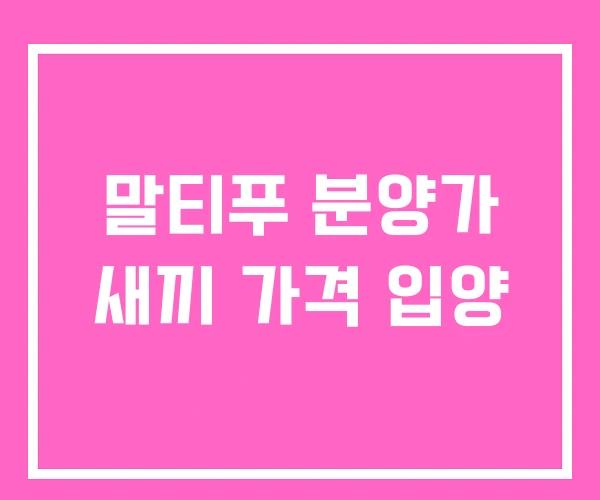 말티푸 분양가 새끼 가격 입양 말티푸 분양가 새끼 가격 입양