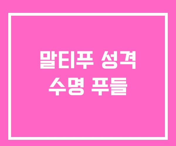 말티푸 성격 수명 푸들 말티푸 성격 수명 푸들