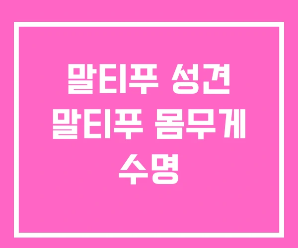 말티푸 성견 말티푸 몸무게 수명