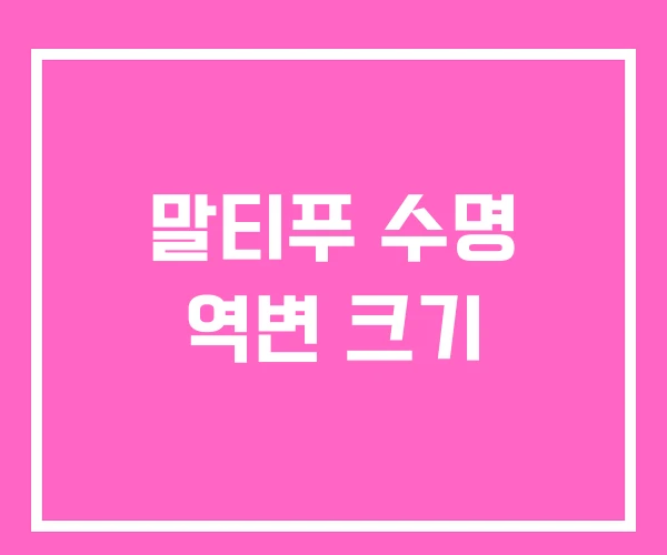 말티푸 수명 역변 크기