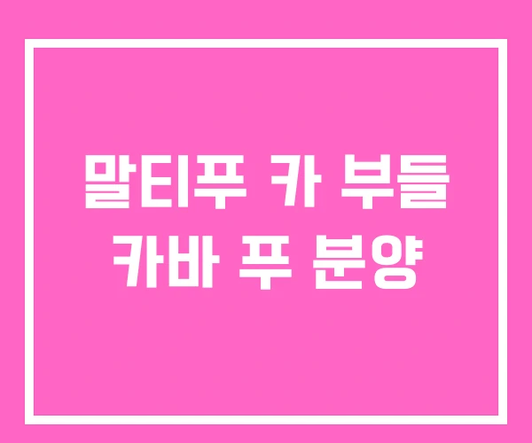 말티푸 카 부들 카바 푸 분양