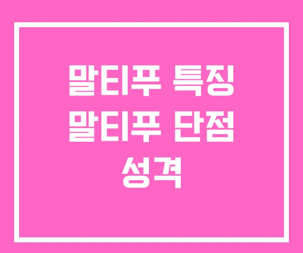 말티푸 특징 말티푸 단점 성격