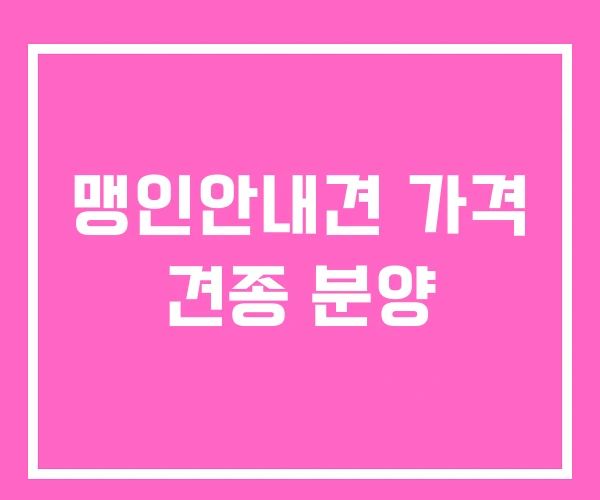 맹인안내견 가격 견종 분양 맹인안내견 가격 견종 분양
