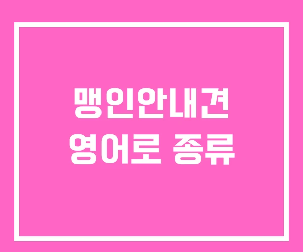 맹인안내견 영어로 종류 맹인안내견 영어로 종류