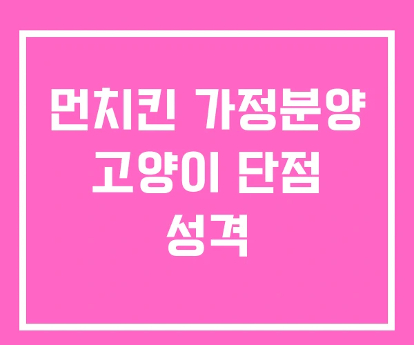 먼치킨 가정분양 고양이 단점 성격