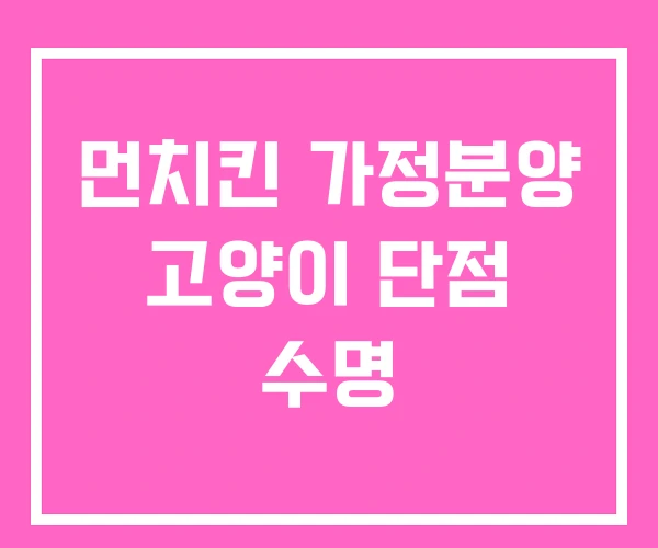 먼치킨 가정분양 고양이 단점 수명