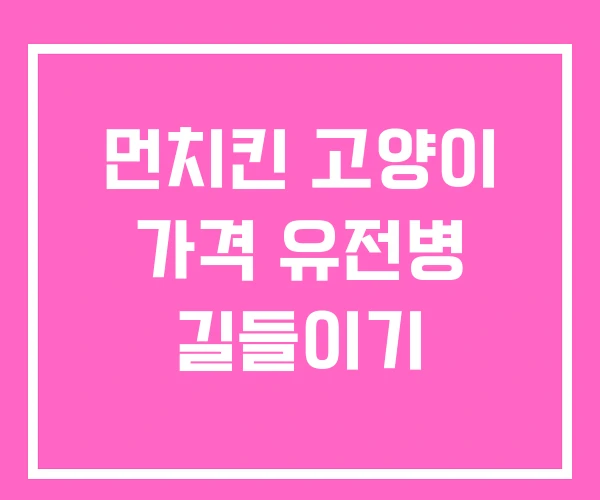 먼치킨 고양이 가격 유전병 길들이기 먼치킨 고양이 가격 유전병 길들이기