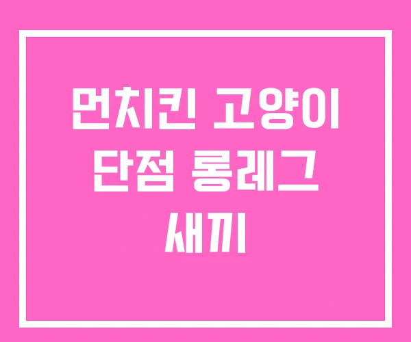 먼치킨 고양이 단점 롱레그 새끼