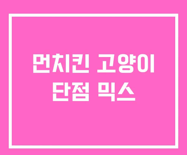 먼치킨 고양이 단점 믹스