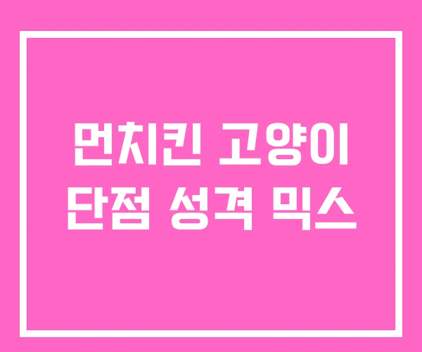 먼치킨 고양이 단점 성격 믹스 먼치킨 고양이 단점 성격 믹스
