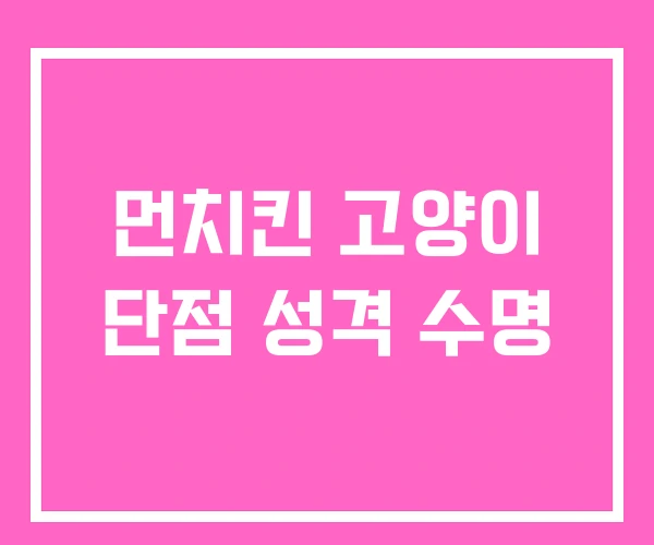 먼치킨 고양이 단점 성격 수명