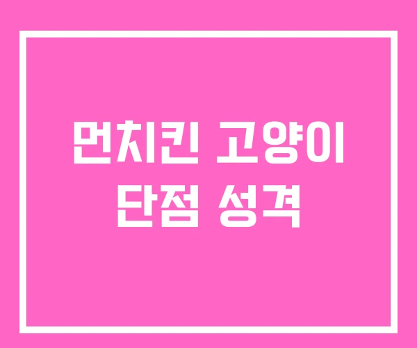 먼치킨 고양이 단점 성격 먼치킨 고양이 단점 성격