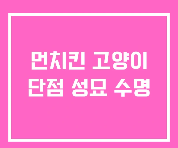 먼치킨 고양이 단점 성묘 수명 먼치킨 고양이 단점 성묘 수명