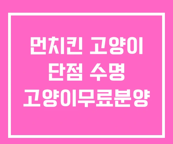 먼치킨 고양이 단점 수명 고양이무료분양 먼치킨 고양이 단점 수명 고양이무료분양