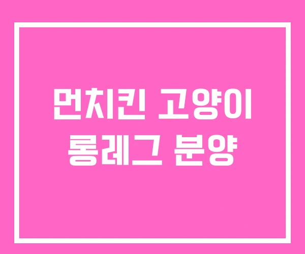 먼치킨 고양이 롱레그 분양 먼치킨 고양이 롱레그 분양