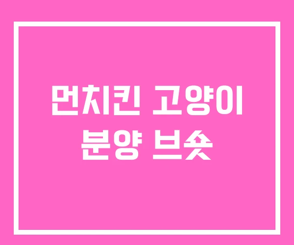 먼치킨 고양이 분양 브숏 먼치킨 고양이 분양 브숏