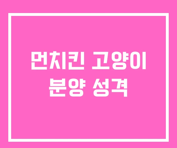 먼치킨 고양이 분양 성격