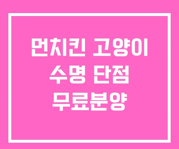 먼치킨 고양이 수명 단점 무료분양