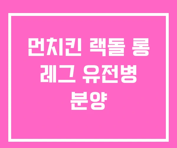 먼치킨 랙돌 롱 레그 유전병 분양
