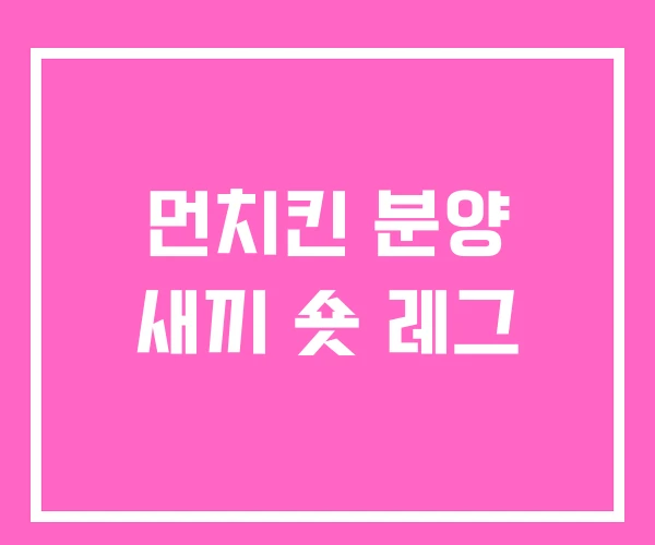 먼치킨 분양 새끼 숏 레그