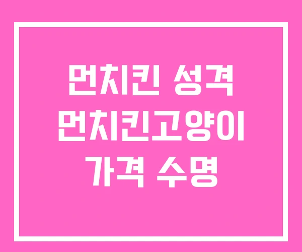 먼치킨 성격 먼치킨고양이 가격 수명 먼치킨 성격 먼치킨고양이 가격 수명