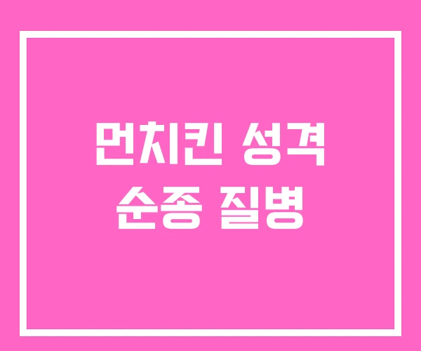 먼치킨 성격 순종 질병 먼치킨 성격 순종 질병