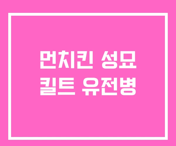 먼치킨 성묘 킬트 유전병