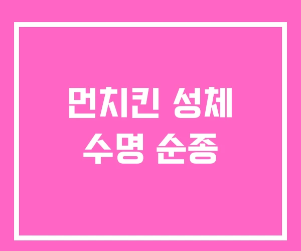 먼치킨 성체 수명 순종