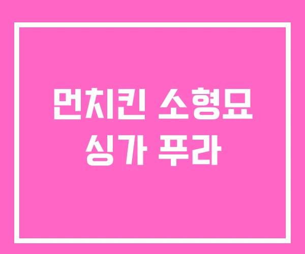 먼치킨 소형묘 싱가 푸라