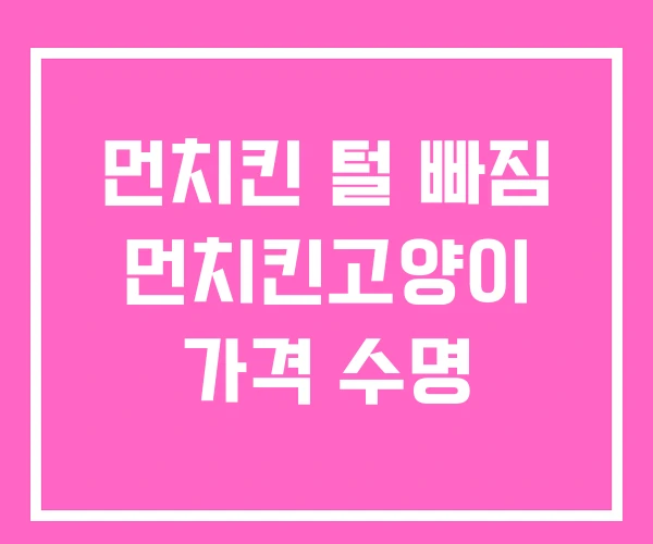 먼치킨 털 빠짐 먼치킨고양이 가격 수명