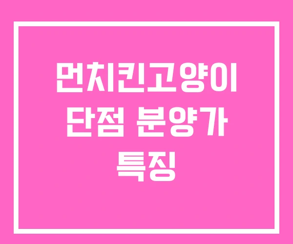 먼치킨고양이 단점 분양가 특징