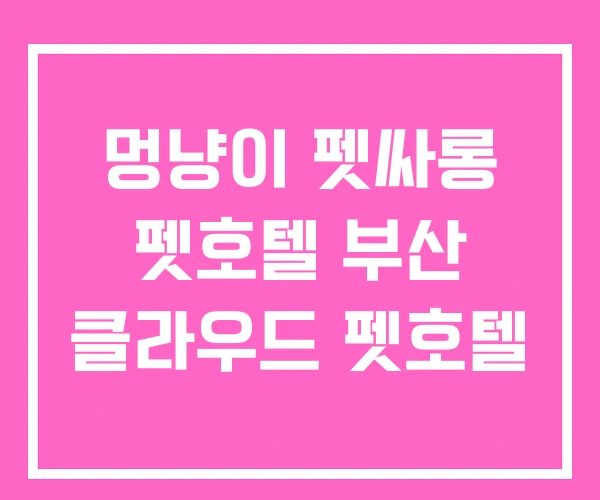 멍냥이 펫싸롱 펫호텔 부산 클라우드 펫호텔