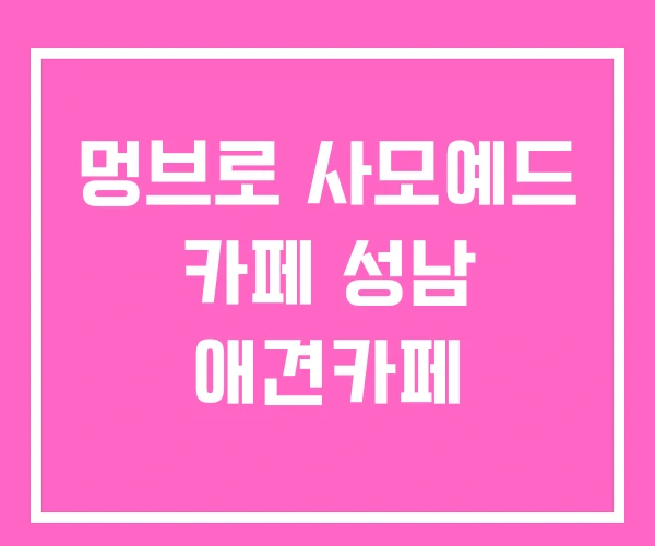멍브로 사모예드 카페 성남 애견카페