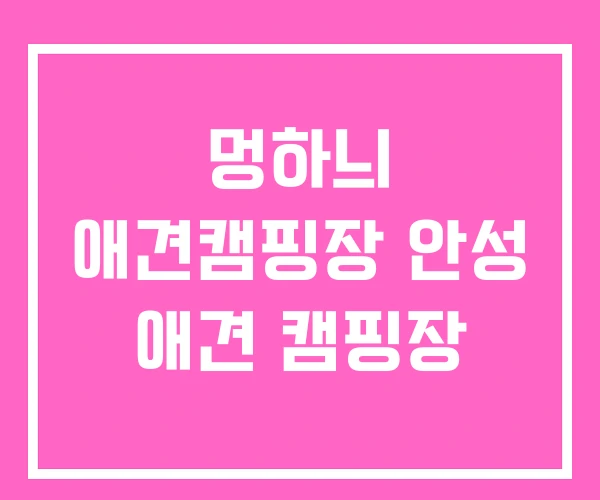 멍하늬 애견캠핑장 안성 애견 캠핑장 멍하늬 애견캠핑장 안성 애견 캠핑장