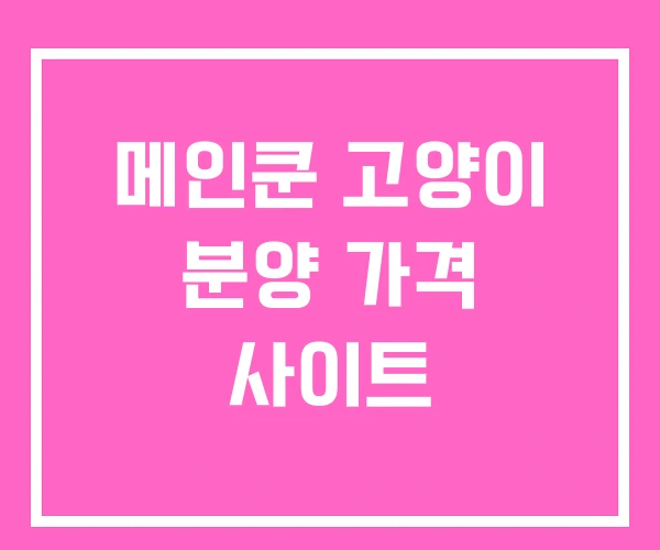 메인쿤 고양이 분양 가격 사이트 메인쿤 고양이 분양 가격 사이트
