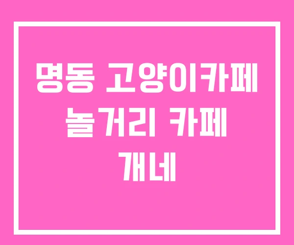 명동 고양이카페 놀거리 카페 개네 명동 고양이카페 놀거리 카페 개네