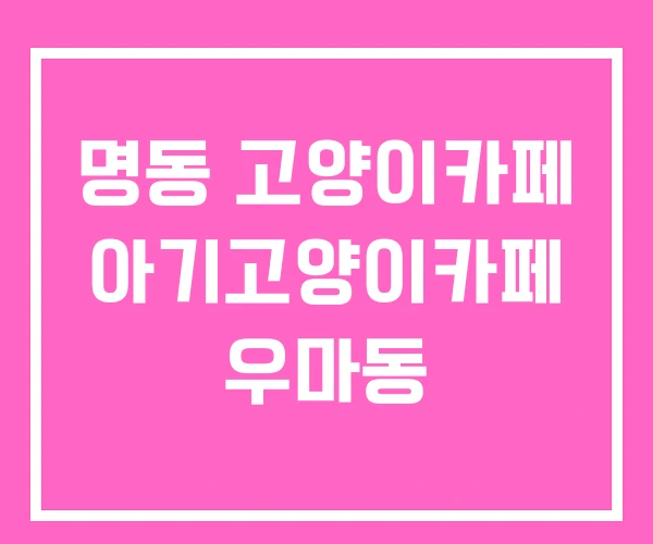 명동 고양이카페 아기고양이카페 우마동