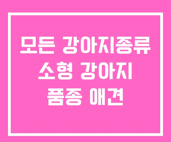 모든 강아지종류 소형 강아지 품종 애견