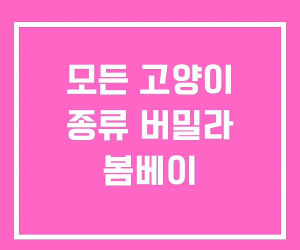 모든 고양이 종류 버밀라 봄베이