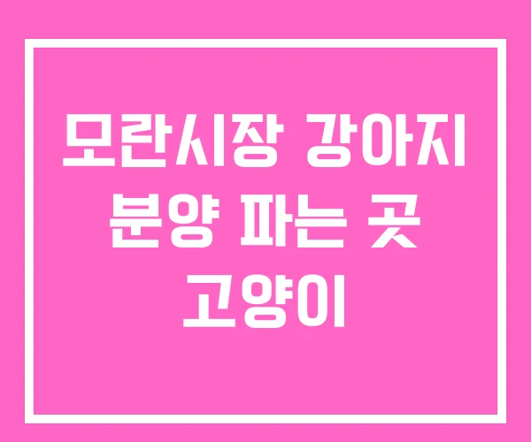 모란시장 강아지 분양 파는 곳 고양이