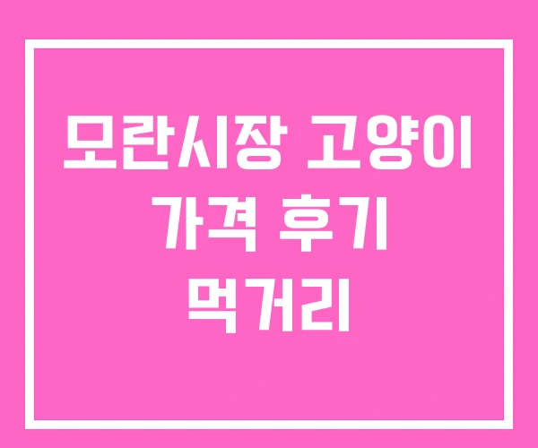 모란시장 고양이 가격 후기 먹거리 모란시장 고양이 가격 후기 먹거리