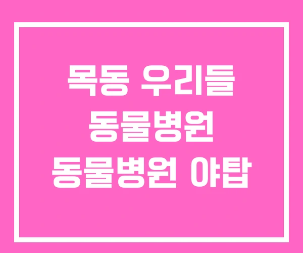 목동 우리들 동물병원 동물병원 야탑 목동 우리들 동물병원 동물병원 야탑