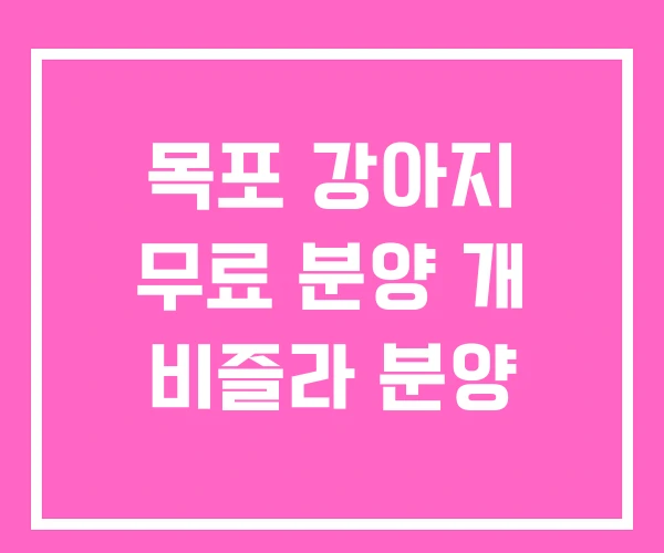 목포 강아지 무료 분양 개 비즐라 분양 목포 강아지 무료 분양 개 비즐라 분양