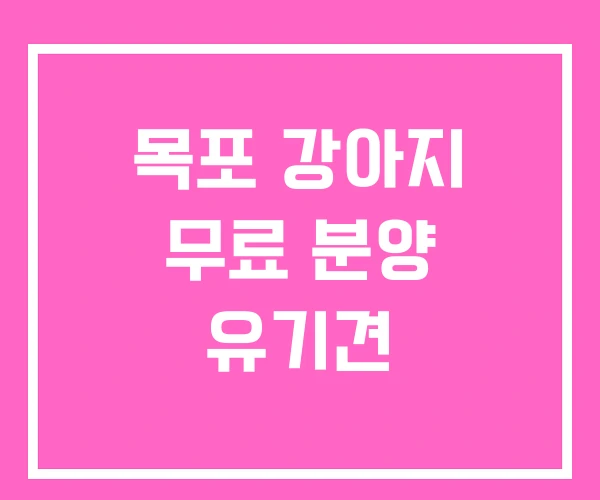 목포 강아지 무료 분양 유기견