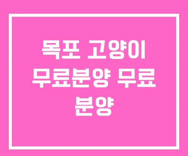 목포 고양이 무료분양 무료 분양 목포 고양이 무료분양 무료 분양